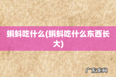 蝌蚪吃什么东西长大 蝌蚪吃什么