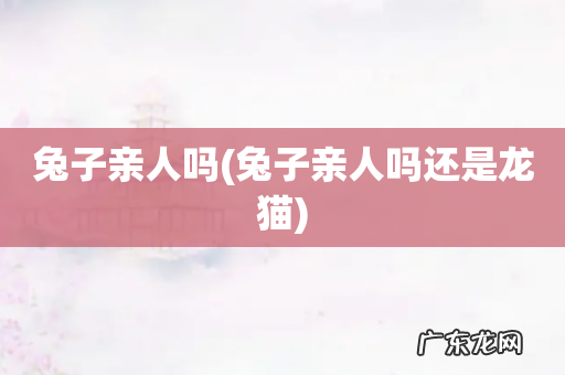 兔子亲人吗还是龙猫 兔子亲人吗