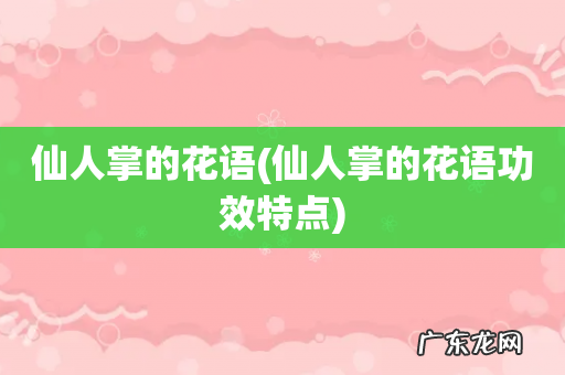 仙人掌的花语功效特点 仙人掌的花语