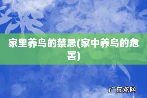 家中养鸟的危害 家里养鸟的禁忌