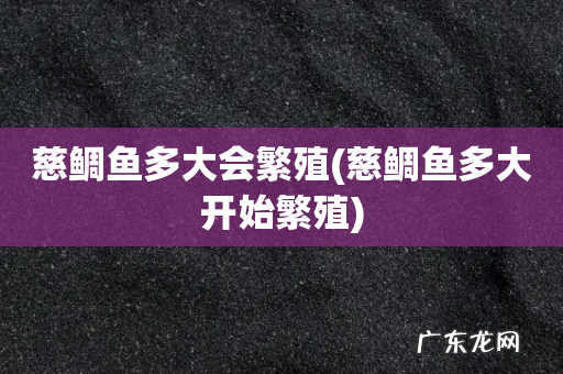 慈鲷鱼多大开始繁殖 慈鲷鱼多大会繁殖