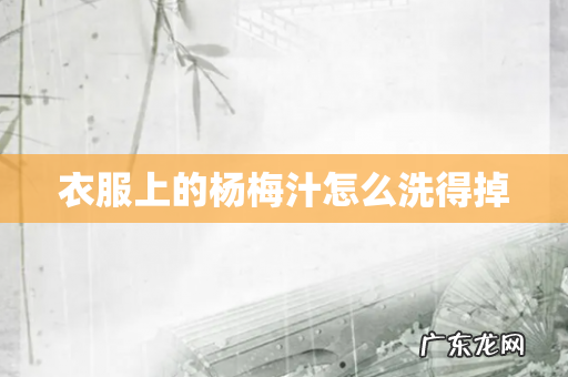 衣服上的杨梅汁怎么洗得掉