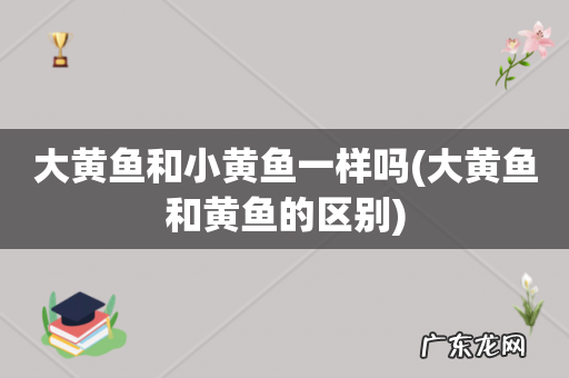 大黄鱼和黄鱼的区别 大黄鱼和小黄鱼一样吗