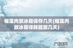 榴莲肉放冰箱保鲜能放几天 榴莲肉放冰箱保存几天