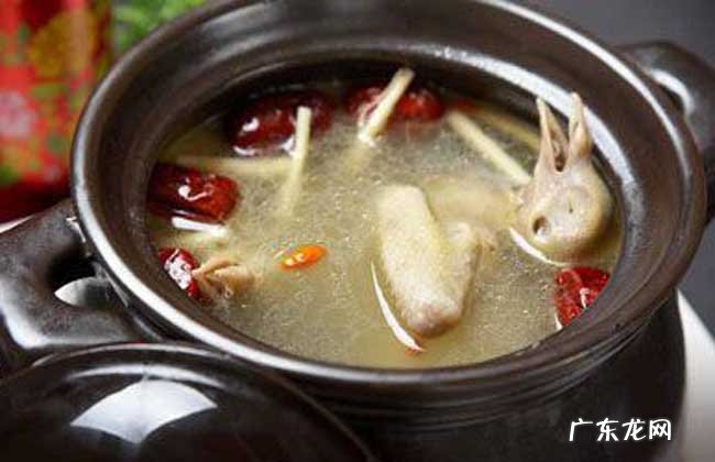 天麻炖鸽子的做法和功效 天麻炖鸽子的功效