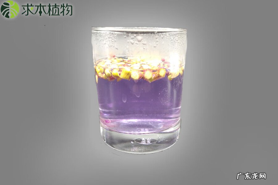 石斛泡水喝的功效 石斛泡茶怎么泡