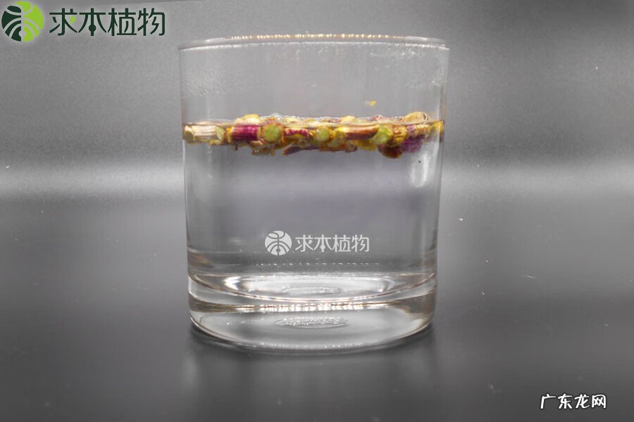 石斛泡水喝的功效 石斛泡茶怎么泡