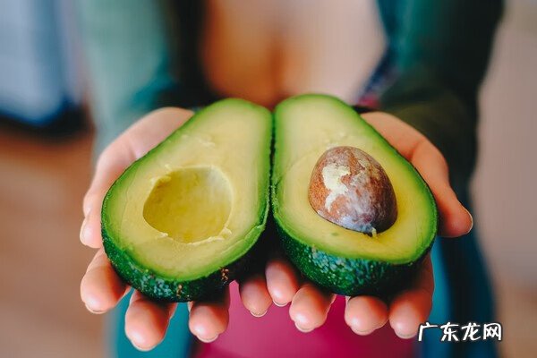 酪梨是什么意思 酪梨是什么水果