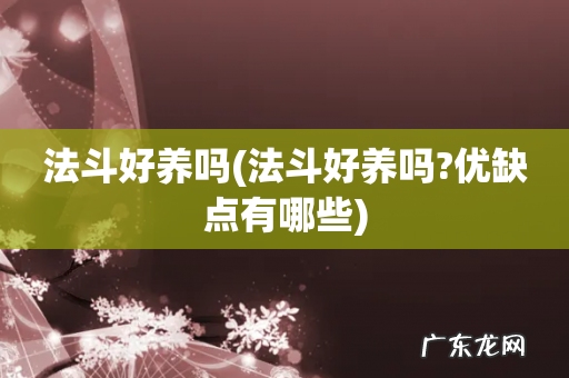 法斗好养吗?优缺点有哪些 法斗好养吗
