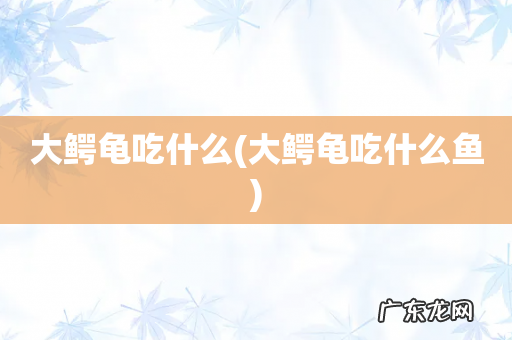 大鳄龟吃什么鱼 大鳄龟吃什么