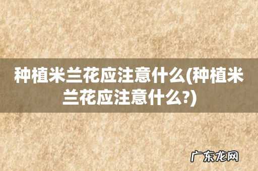 种植米兰花应注意什么? 种植米兰花应注意什么