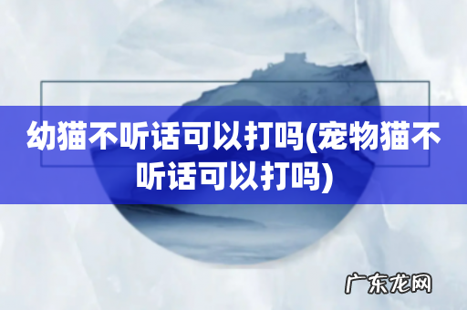 宠物猫不听话可以打吗 幼猫不听话可以打吗