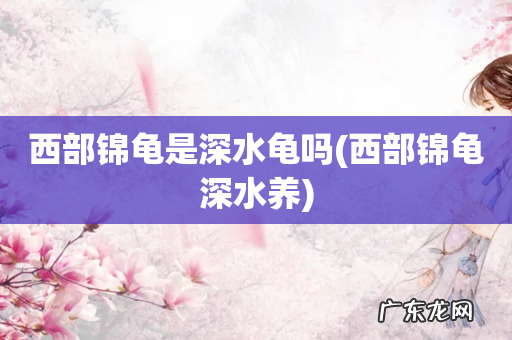西部锦龟深水养 西部锦龟是深水龟吗
