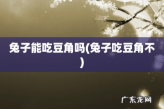 兔子吃豆角不 兔子能吃豆角吗