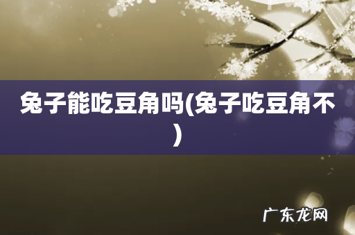 兔子吃豆角不 兔子能吃豆角吗
