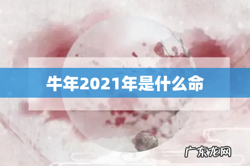 牛年2021年是什么命
