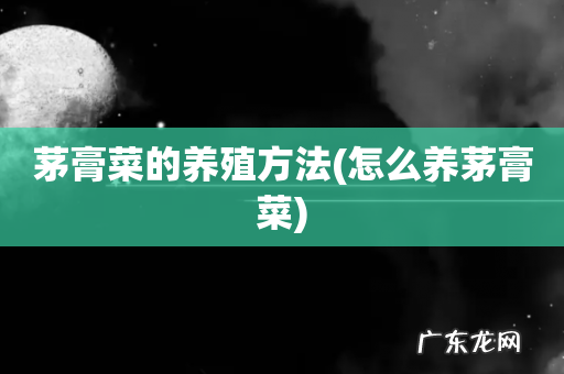 怎么养茅膏菜 茅膏菜的养殖方法