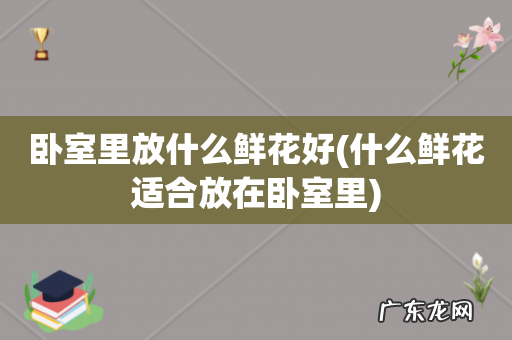 什么鲜花适合放在卧室里 卧室里放什么鲜花好