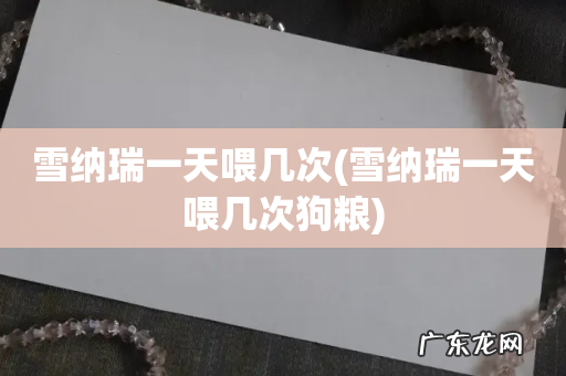 雪纳瑞一天喂几次狗粮 雪纳瑞一天喂几次