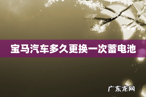 宝马汽车多久更换一次蓄电池