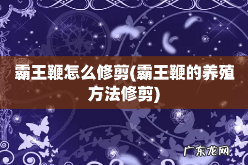 霸王鞭的养殖方法修剪 霸王鞭怎么修剪