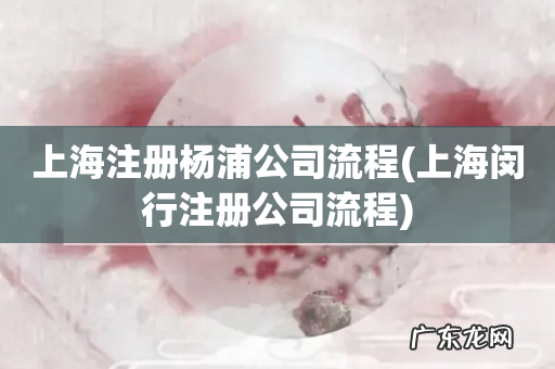 上海闵行注册公司流程 上海注册杨浦公司流程