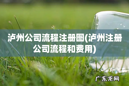 泸州注册公司流程和费用 泸州公司流程注册图