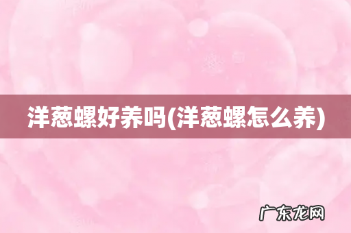 洋葱螺怎么养 洋葱螺好养吗