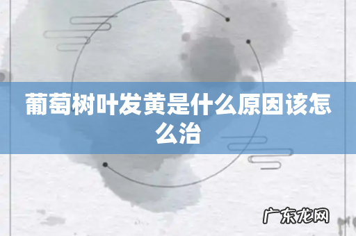 葡萄树叶发黄是什么原因该怎么治