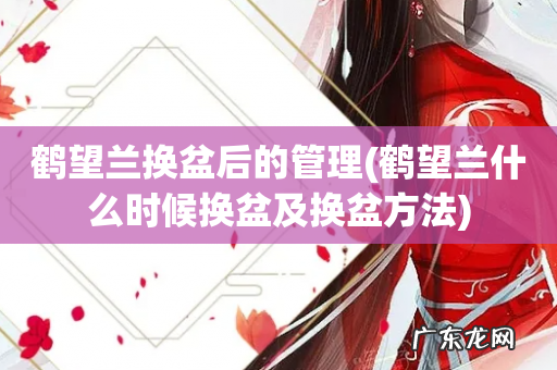 鹤望兰什么时候换盆及换盆方法 鹤望兰换盆后的管理