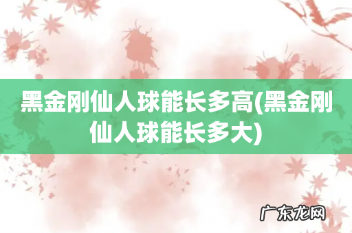 黑金刚仙人球能长多大 黑金刚仙人球能长多高