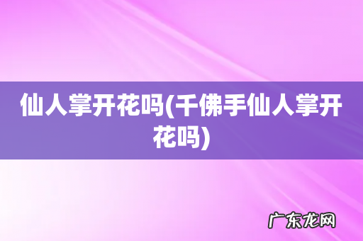 千佛手仙人掌开花吗 仙人掌开花吗
