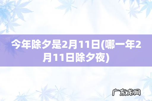 哪一年2月11日除夕夜 今年除夕是2月11日