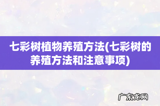 七彩树的养殖方法和注意事项 七彩树植物养殖方法