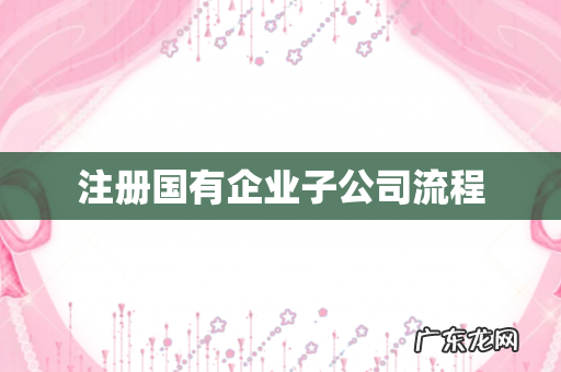 注册国有企业子公司流程