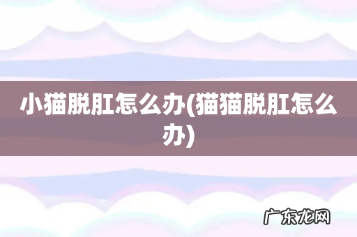 猫猫脱肛怎么办 小猫脱肛怎么办