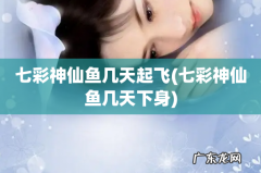 七彩神仙鱼几天下身 七彩神仙鱼几天起飞