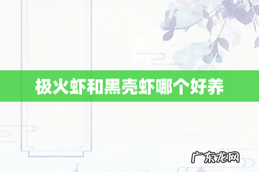 极火虾和黑壳虾哪个好养