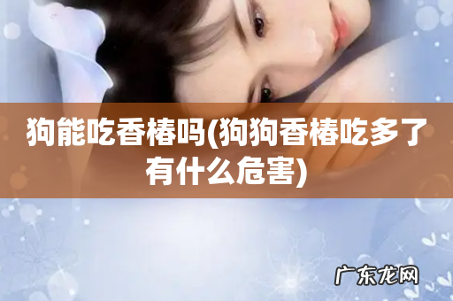 狗狗香椿吃多了有什么危害 狗能吃香椿吗