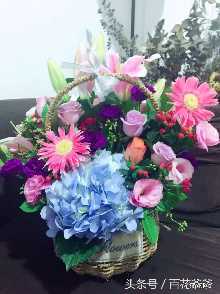 哪些植物防辐射效果好 什么植物防辐射是真的吗