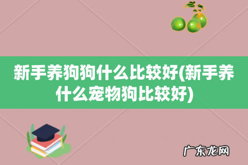 新手养什么宠物狗比较好 新手养狗狗什么比较好