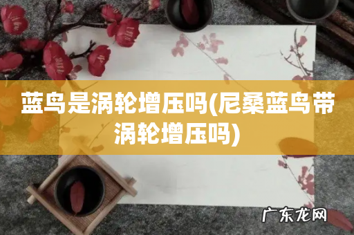 尼桑蓝鸟带涡轮增压吗 蓝鸟是涡轮增压吗