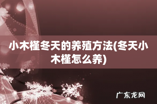 冬天小木槿怎么养 小木槿冬天的养殖方法