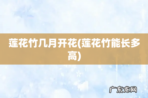 莲花竹能长多高 莲花竹几月开花