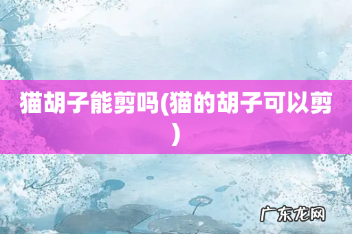 猫的胡子可以剪 猫胡子能剪吗
