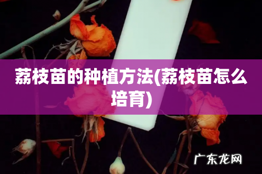 荔枝苗怎么培育 荔枝苗的种植方法