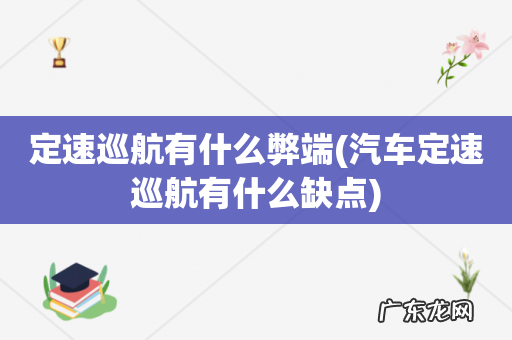 汽车定速巡航有什么缺点 定速巡航有什么弊端