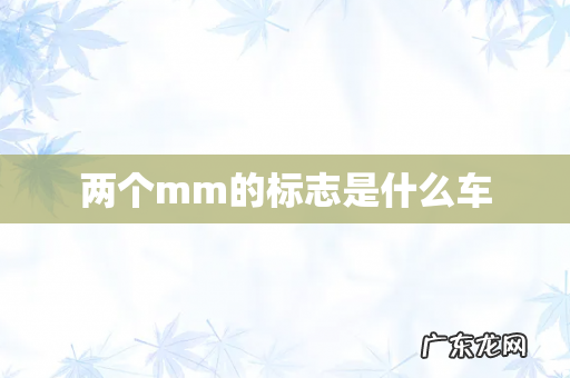 两个mm的标志是什么车