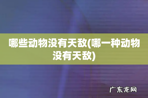 哪一种动物没有天敌 哪些动物没有天敌