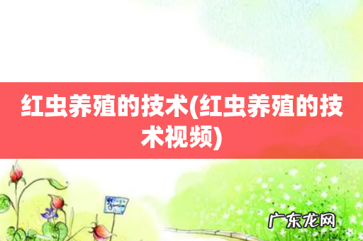 红虫养殖的技术视频 红虫养殖的技术